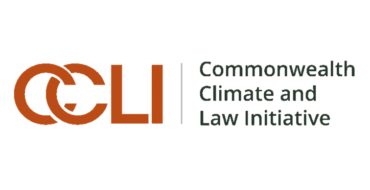CCLI logo sized.png
