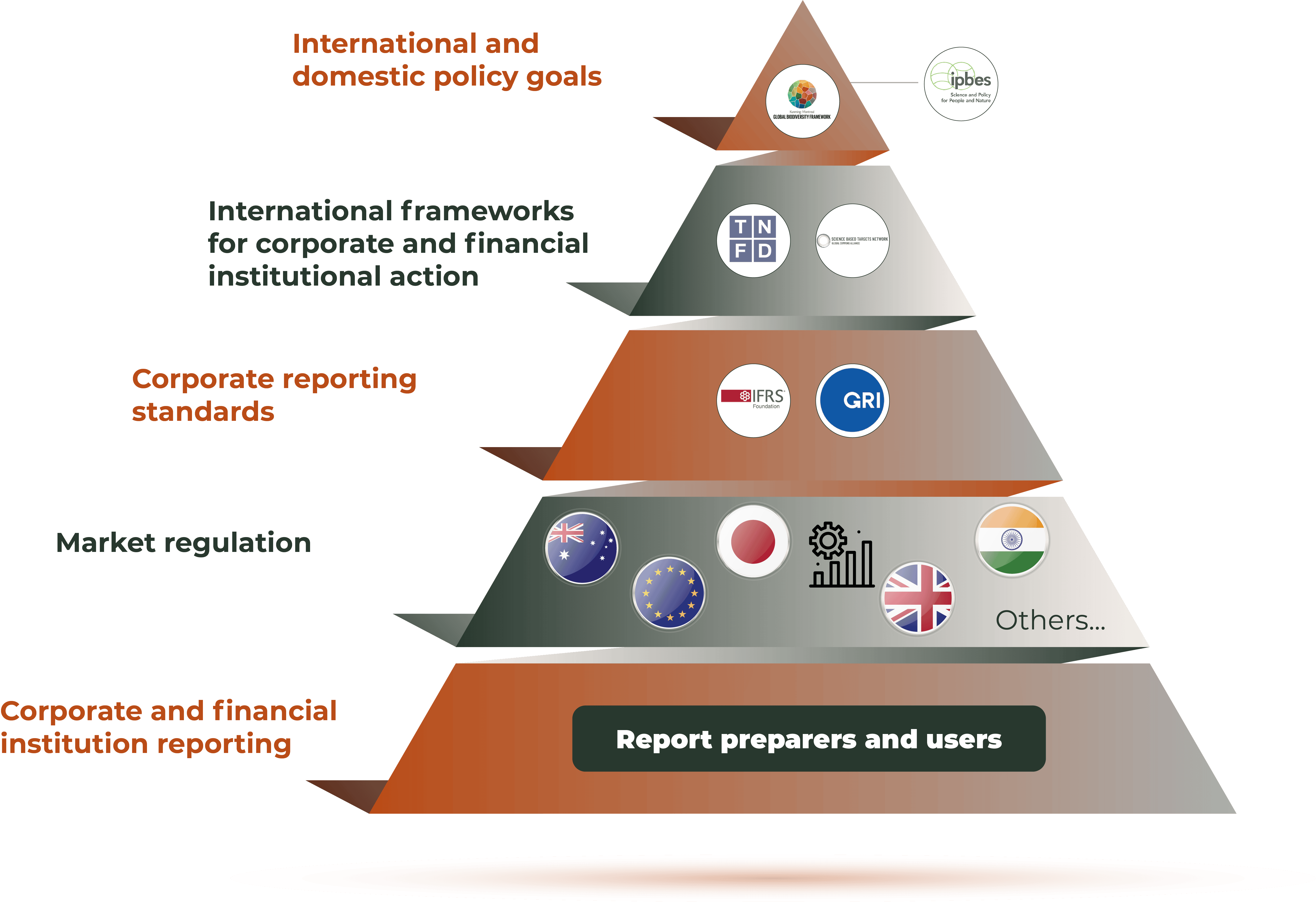 Infographic - Nature disclosures - reporting architecture.png