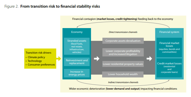 climate-related systemic risks arising from transition risks